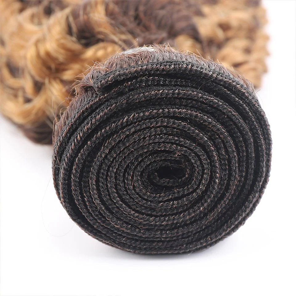 Lemoda P4/27 Highlight Kinky Curly 3 Bundles With 4x4 Lace Closure 100% Human Hair - Image 4